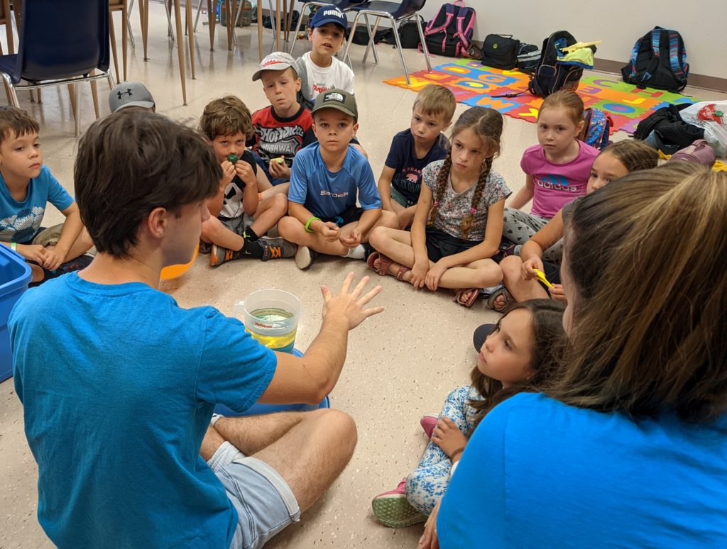 Préscolaire et primaire - Activité devant un groupe d'enfants